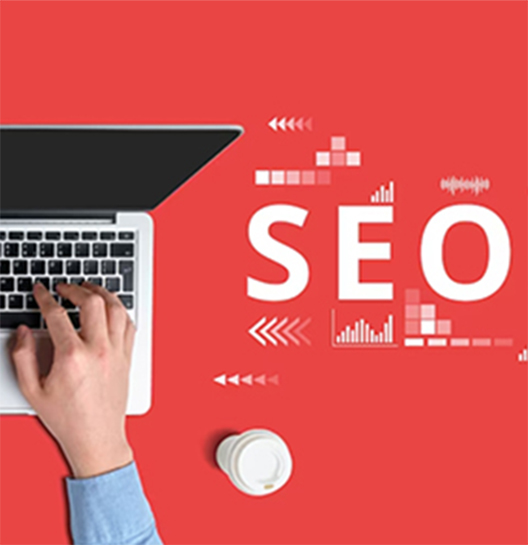 local seo agency